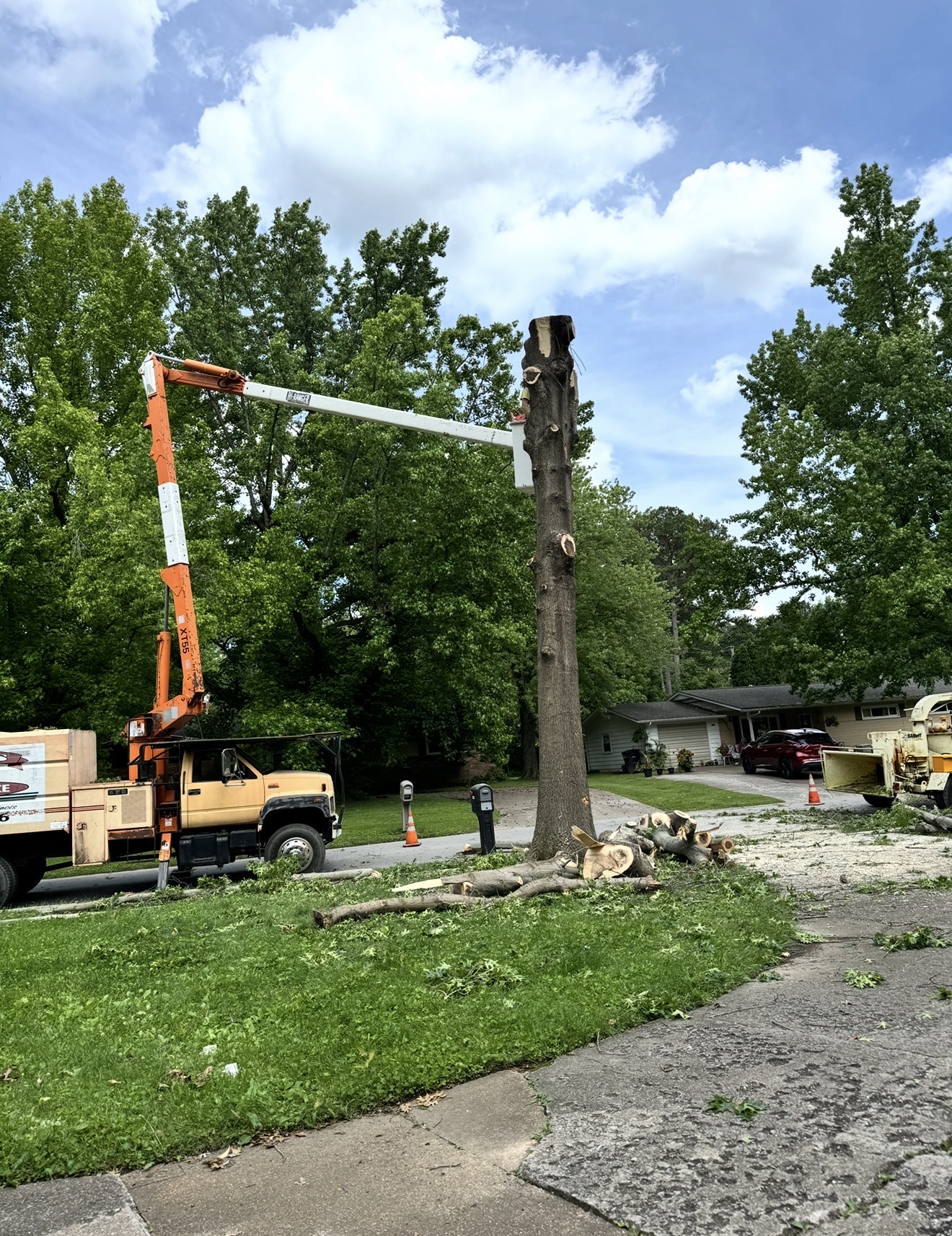 Ellis Tree Service family owned tree company Ava IL Southern Illinois