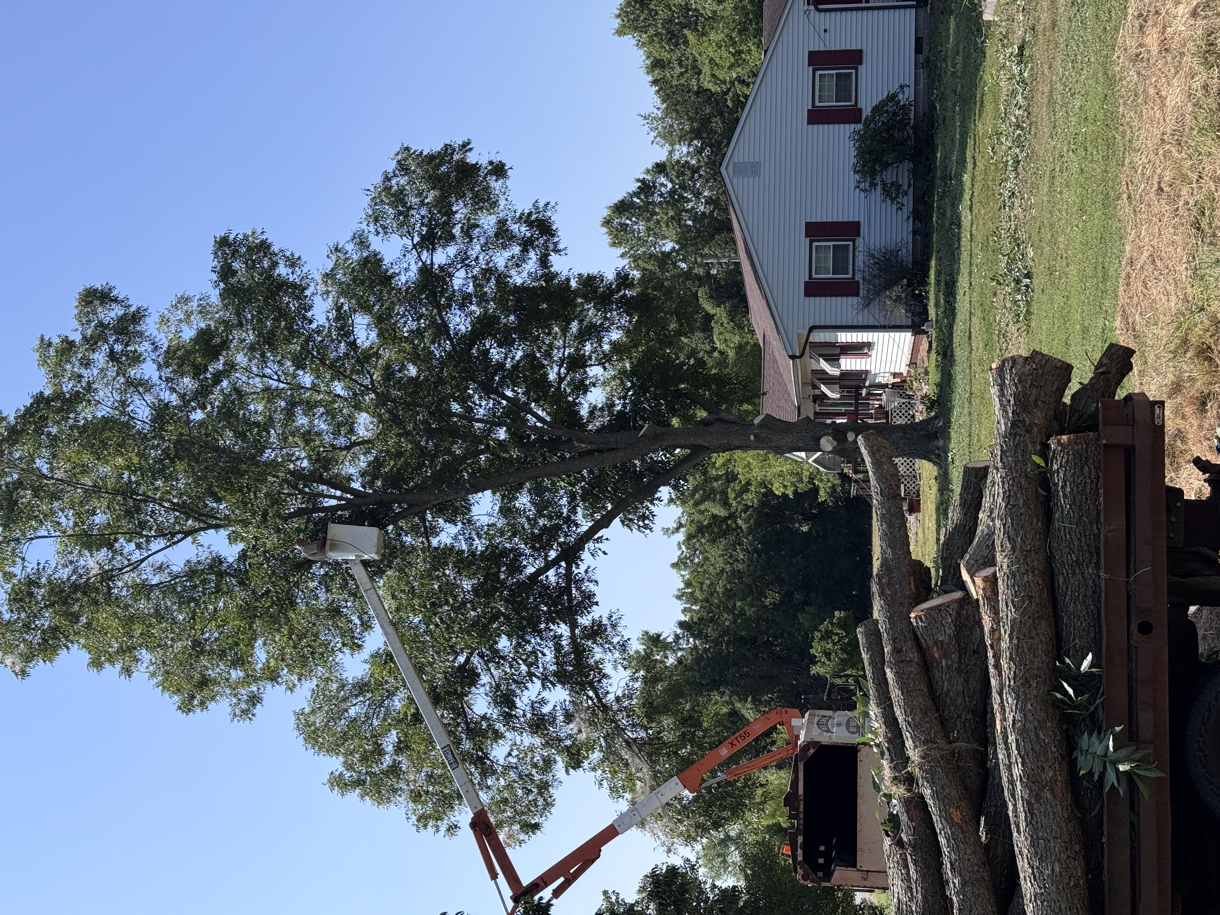 Ellis Tree Service tree removal Southern Illinois