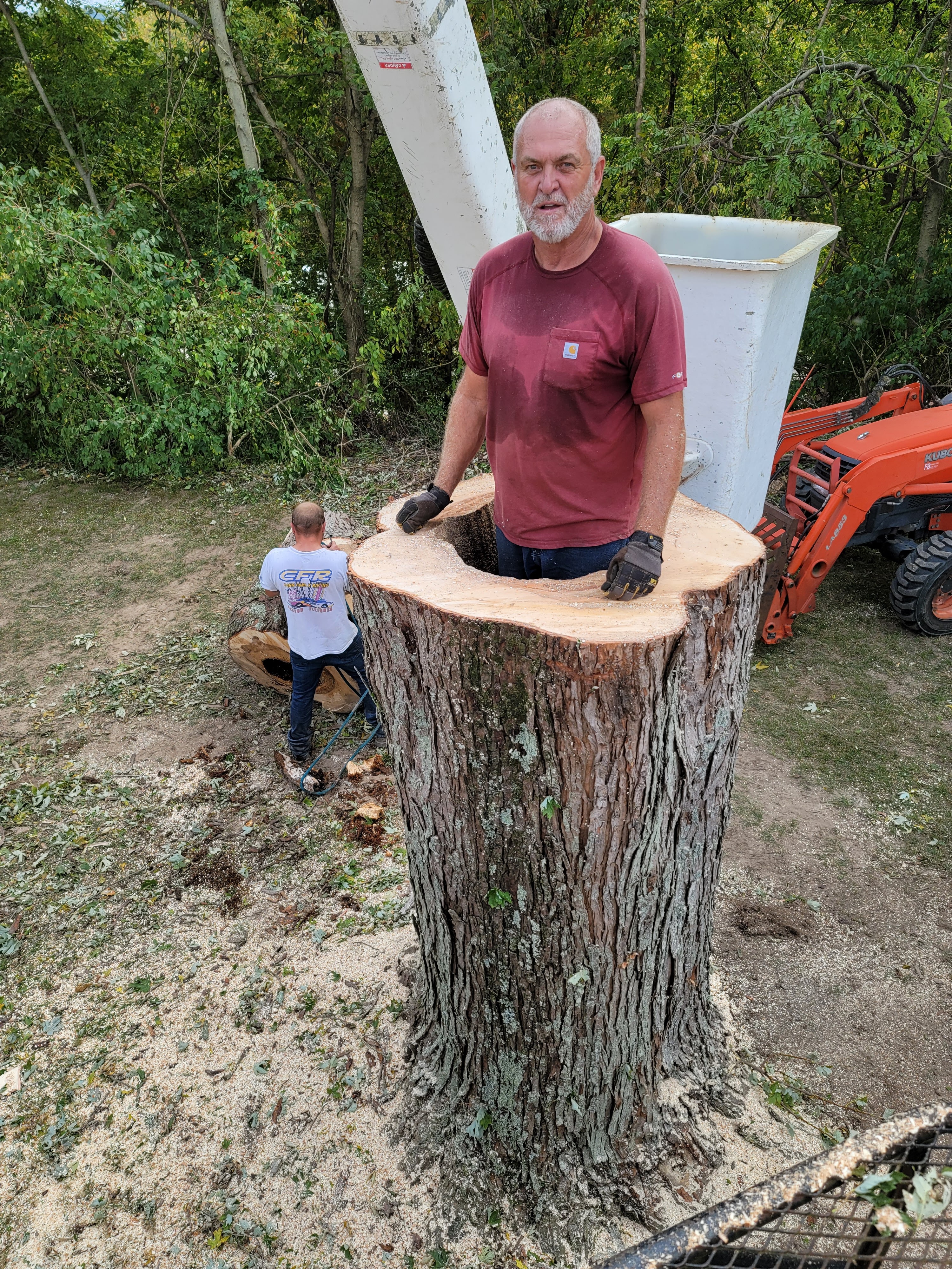Ellis Tree Service stump grinding Murphysboro Carbondale IL
