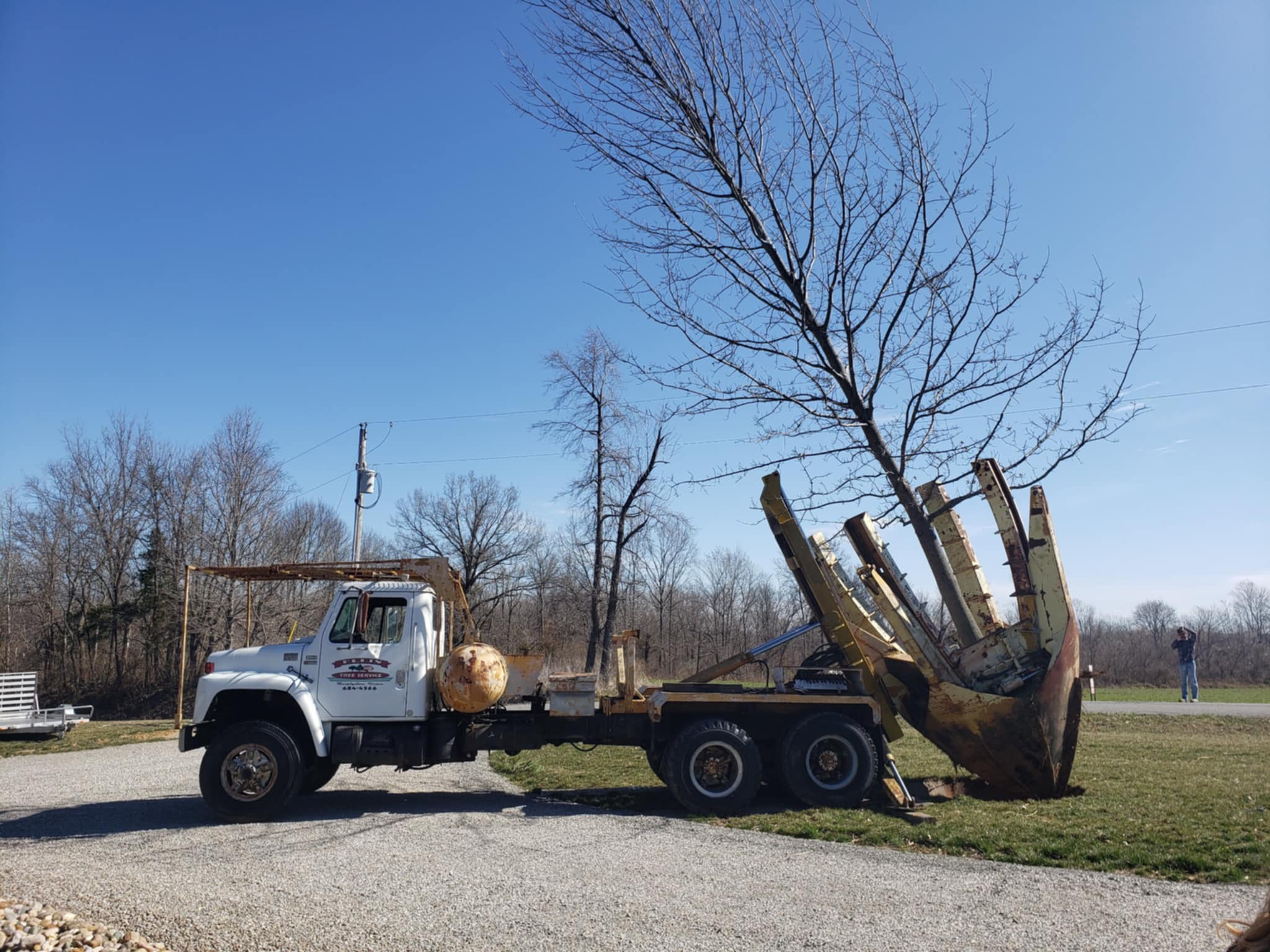 Ellis Tree Service tree planting Southern Illinois Ava IL