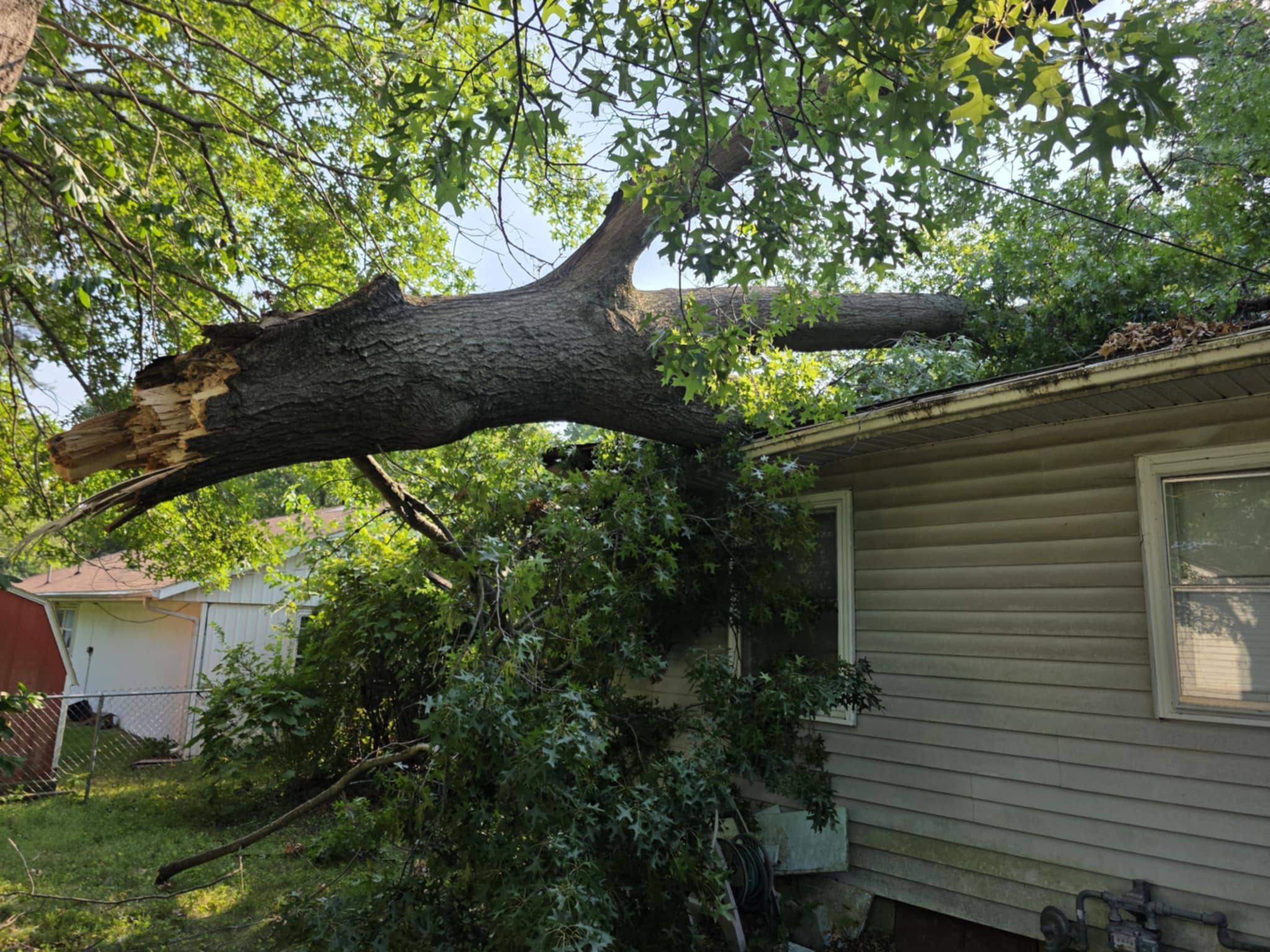 Ellis Tree Service emergency storm cleanup Southern Illinois