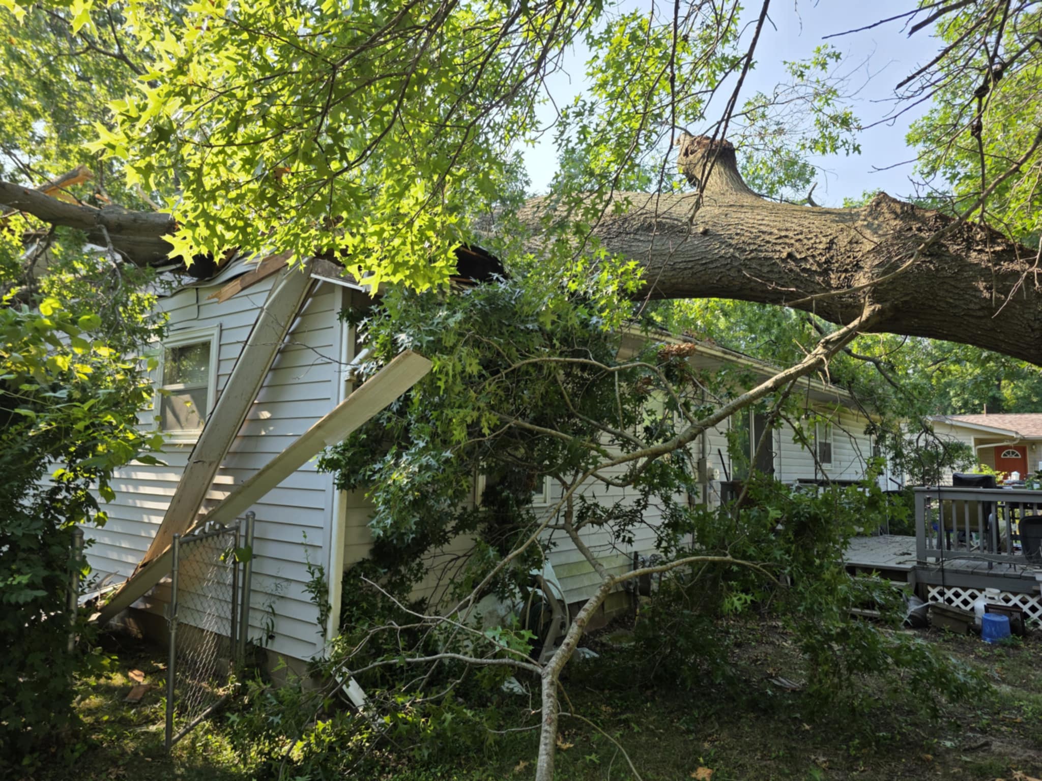 Ellis Tree Service storm damage cleanup Southern Illinois