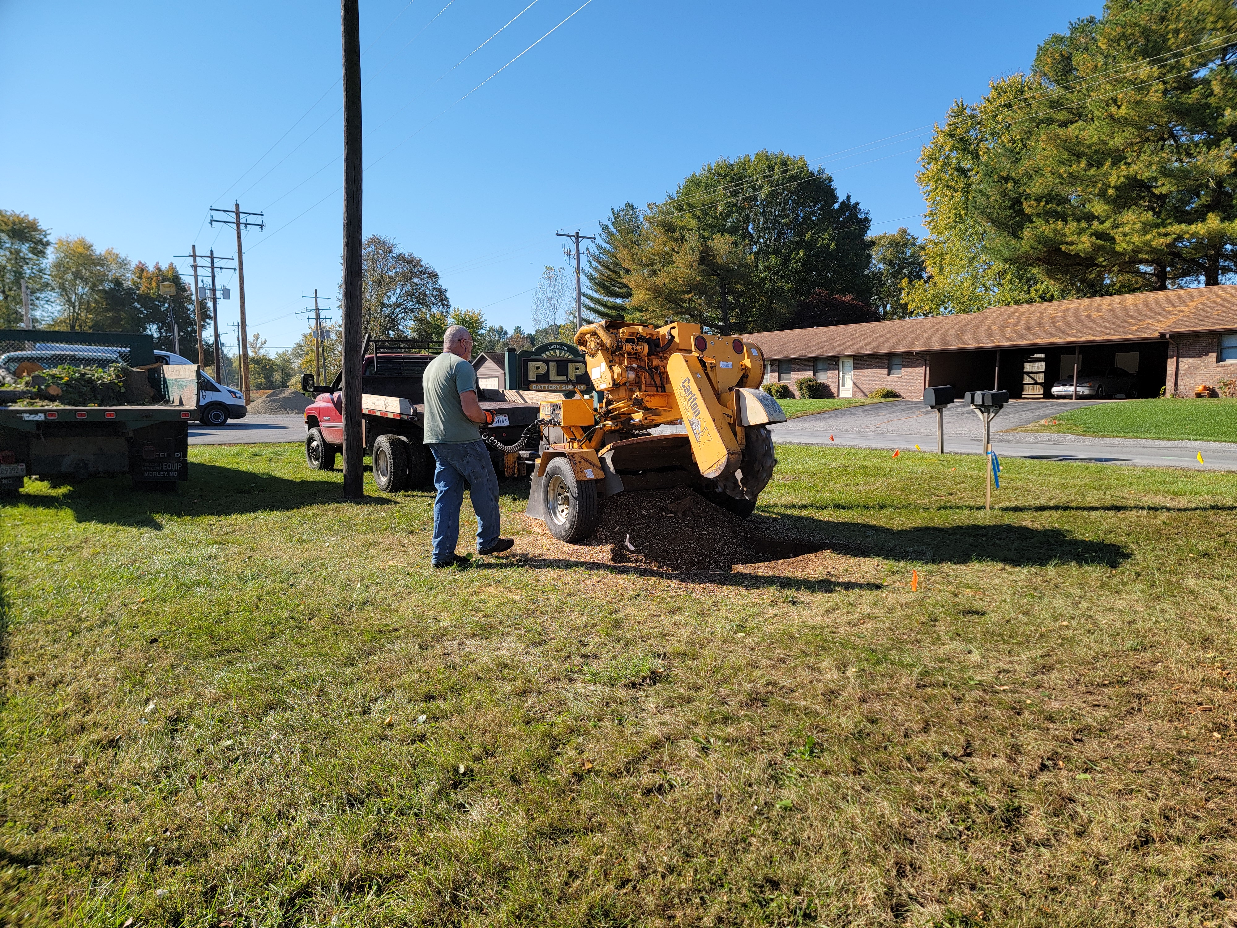 Ellis Tree Service stump grinding Southern Illinois