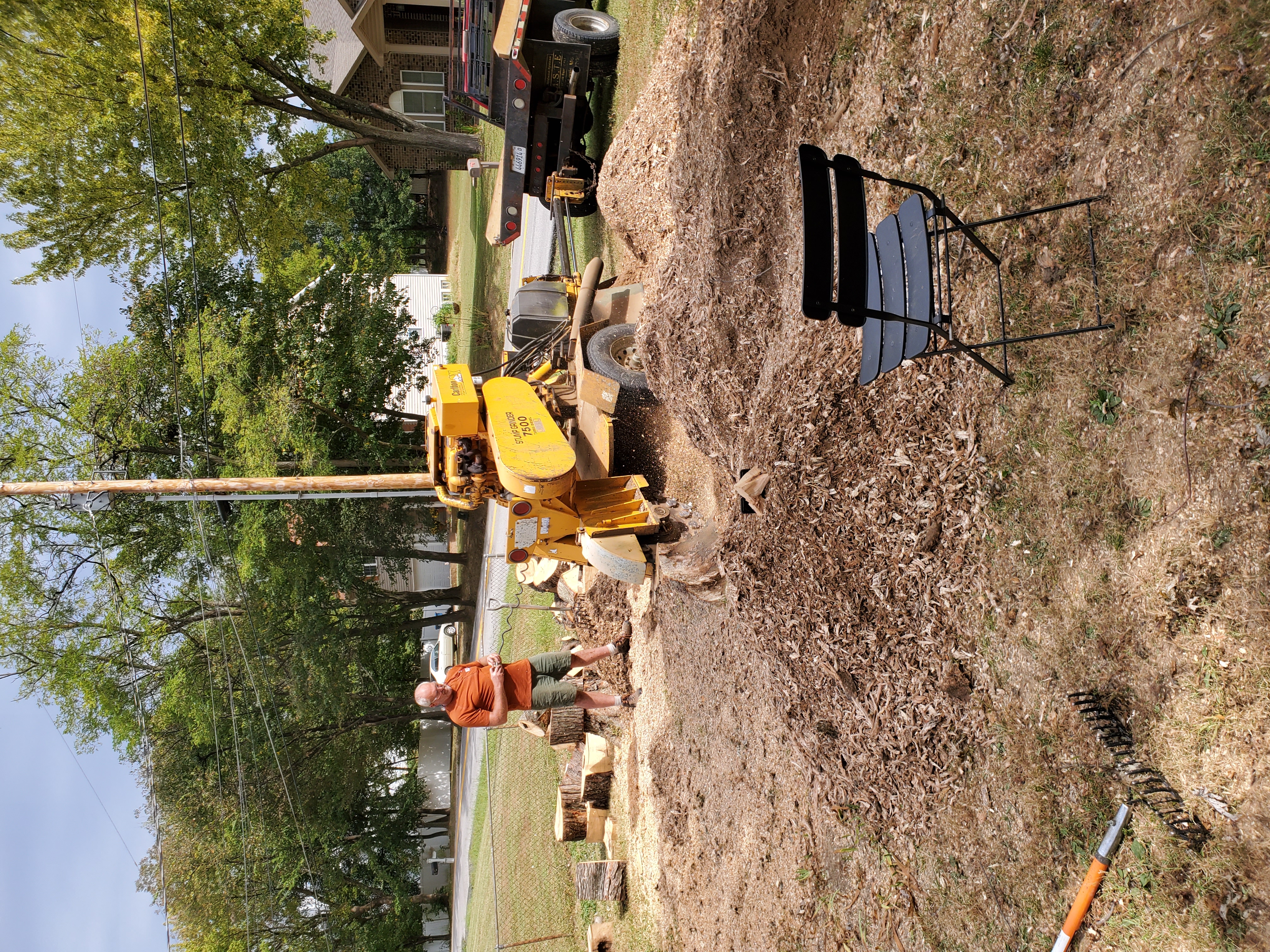 Ellis Tree Service stump grinding Murphysboro Carbondale IL