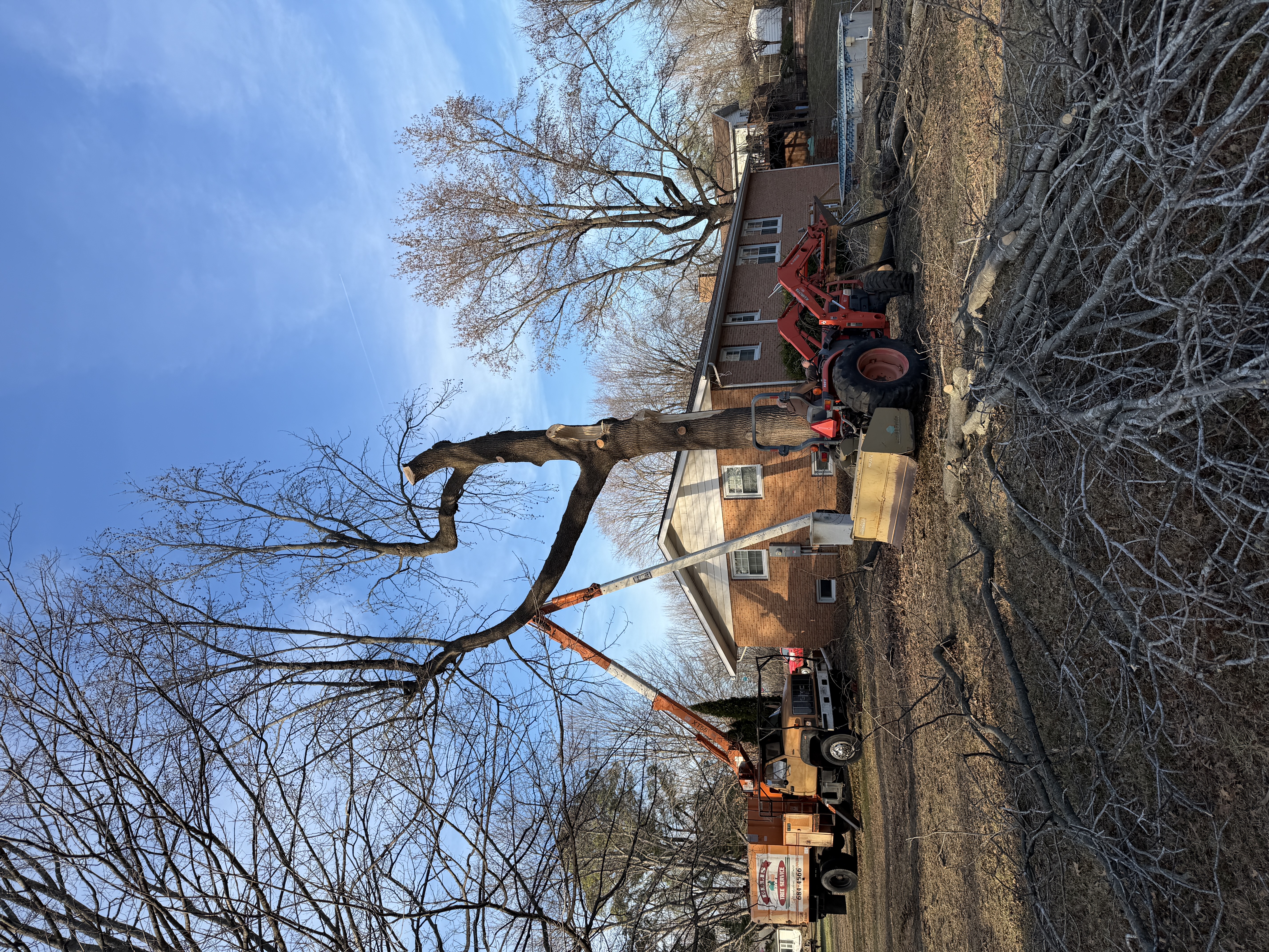 Ellis Tree Service large tree removal tractor Southern Illinois